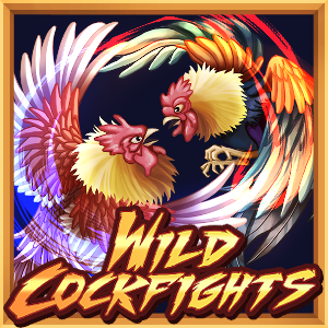 Wild Cockfights