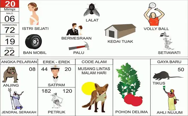 Pengacara / Kambing / Ikan Tuna / Sumber Air / Binatang Domba / Jeruk Bali / Hewan Kuda / Binatang Kambing / Jambu / Burung Beo